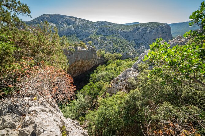 Tiscali mount guided hike - Wildlife and plant spotting: what the guide adds to your senses