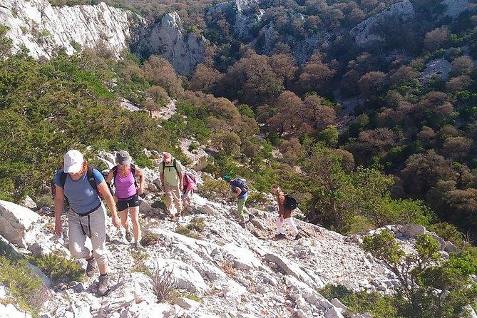 Tiscali mount guided hike - Duration, distance, and pacing: how the day likely feels