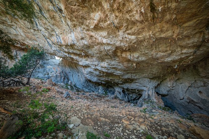 Tiscali mount guided hike - The 6 km trek: woods, old charcoal paths, and karst scenery