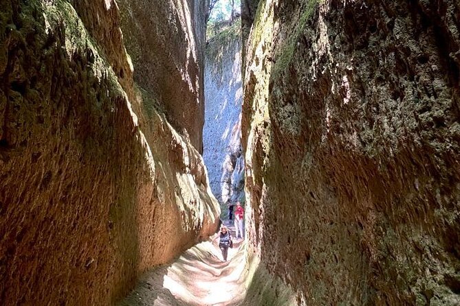 Tomb Hunting and Trekking Adventure in Sovana - The Optional Wine Tasting: Young Winemakers, Clear Price, Easy Choice