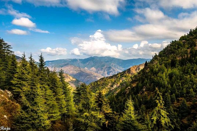Top Tibba Trek - Mussoorie - Practical Tips to Get the Most From This 4-Hour Summit Hike