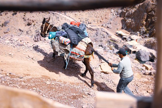 Toubkal Trekking 2 Days - How hard is it, really?