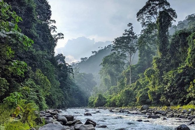 TOUR PACKAGE (jungle trekking, taxi, Room) 4 DAYS 3 NIGHTS in BUKIT LAWANG - Day 4 return to Medan: short wrap-up and what to do next