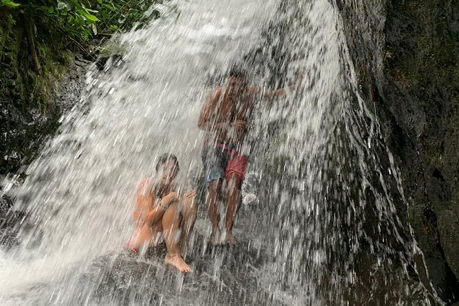 TOUR PACKAGE (jungle trekking, taxi, Room) 4 DAYS 3 NIGHTS in BUKIT LAWANG - The guide makes this: English explanations and real organization
