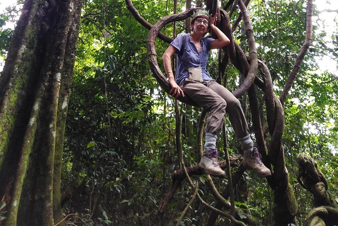 TOUR PACKAGE (Taxi, Room, Jungle Trekking) 3 Days in BUKIT LAWANG - Bukit Lawang’s Rainforest Rhythm: What This Trip Feels Like