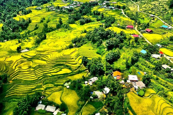 Trek Adventure in Ta Van Village, Lao Chai - Lao Chai to Ta Van: the Sapa Trek That Feels More Human