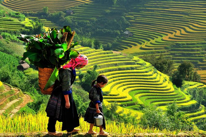 Trek Adventure in Ta Van Village, Lao Chai - Stop 1: Y Linh Ho Village and the Rice Terrace Warm-Up