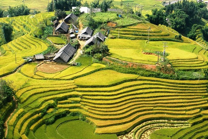 Trek Adventure in Ta Van Village, Lao Chai - Price and Value: Why $29 Works (When You Use It Right)