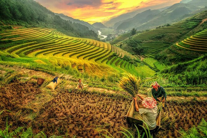 Trek Adventure in Ta Van Village, Lao Chai - Logistics That Matter: Transfers, Group Size, and Comfort