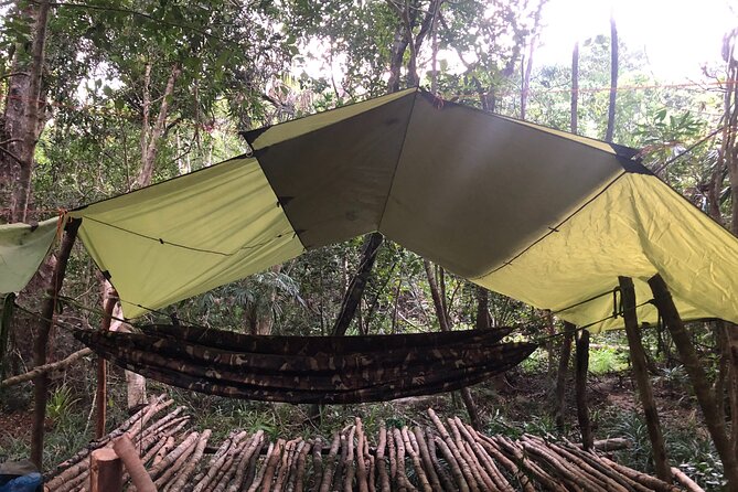 Trek Nui Chua Experience 2D1N, Night in the Jungle - Vinh Hy Bay - Inside Nui Chua: why this trek feels different