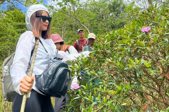 Trek Nui Chua Experience 2D1N, Night in the Jungle - Vinh Hy Bay - BBQ dinner in the jungle: birds down, fireflies up