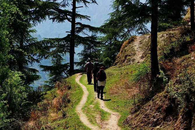 Trek's around Mussoorie - Key Highlights That Matter
