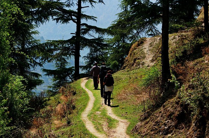 Trek's around Mussoorie - The Cooking Part: Hands-On Jungle Cooking Over a Fire Stove