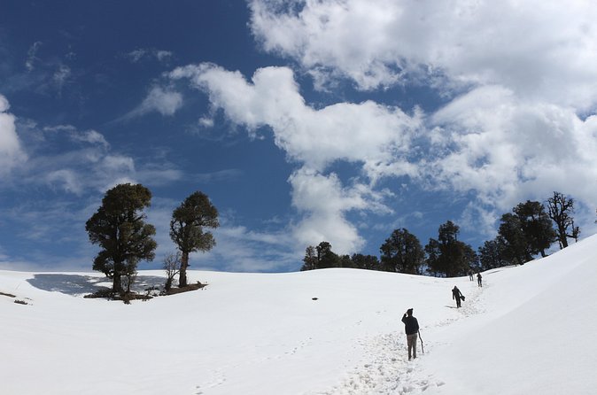 Trek's around Mussoorie - Benog Wildlife Sanctuary: Why Entrance Being Included Is a Real Win
