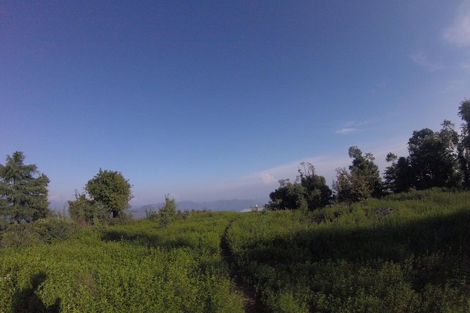 Trek's around Mussoorie - What’s Included vs. What You Handle