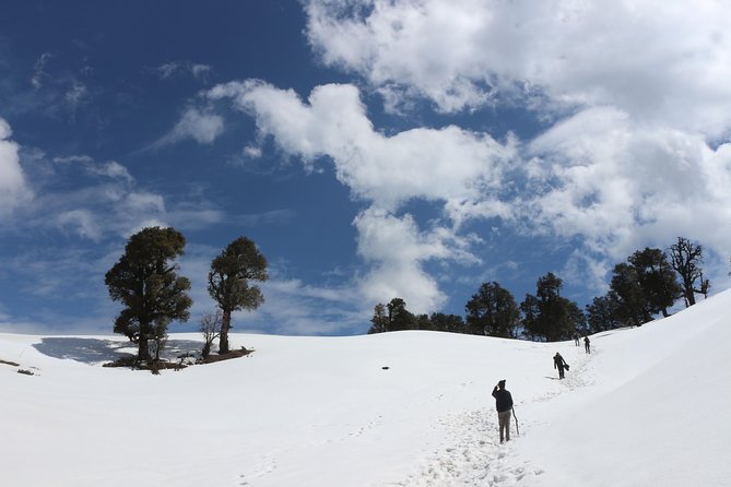 Trek's around Mussoorie - Getting Oriented: Where You Meet and How Timing Works