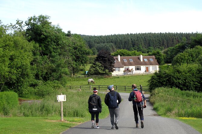 Trek the Tombs and Trails in the Dublin Mountains - Picking Wild Berries When They’re In Season