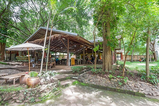 Trek to a Jungle Waterfall - Weather, cancellation changes, and the one thing you can’t control