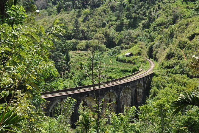 Trek to Little Adam's Peak and Nine Arches Bridge In Ella - What This Tour Is Really About (Beyond the Hot Spots)