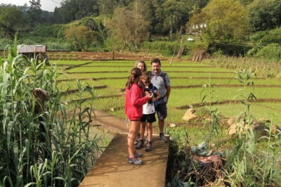 Trek to Little Adam's Peak and Nine Arches Bridge In Ella - Start in Ella: Pickup, Timing, and Your Best Game Plan