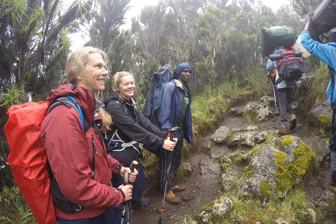 Trek To Mount Kilimanjaro - The Lemosho Advantage: Altitude-Proofing Your Climb
