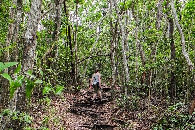 Trek Tours Hiking Experience in Antigua - Drive, hike, return: the 3.5-hour rhythm