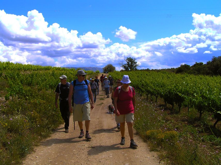 Trek & Wine in Priorat - The Walk: Easy Pace, Real Vineyard Time, and Room to Adjust
