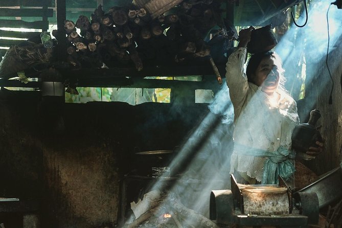 Trekking and Sightseeing tour with lunch - A 7.5-hour Ubud trek that connects villages, temples, and rice terraces