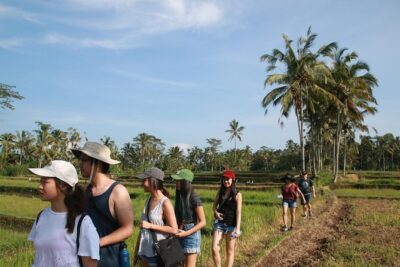 Trekking and Sightseeing tour with lunch - Delodsema Traditional Village (Taro) and the slower way to see Bali life