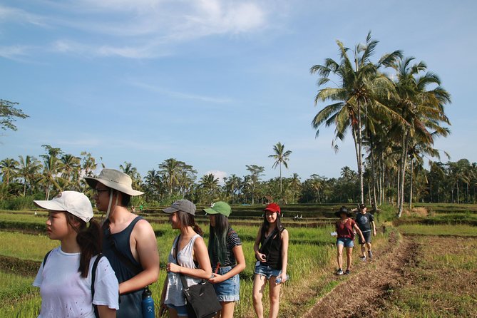 Trekking and Sightseeing tour with lunch - Delodsema Traditional Village (Taro) and the slower way to see Bali life