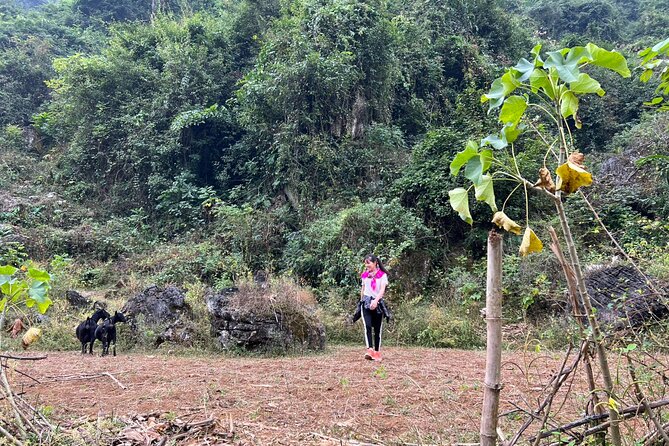 Trekking Ban Gioc Waterfall to Hidden Village on Unique Route - Practical Details That Can Change Your Experience