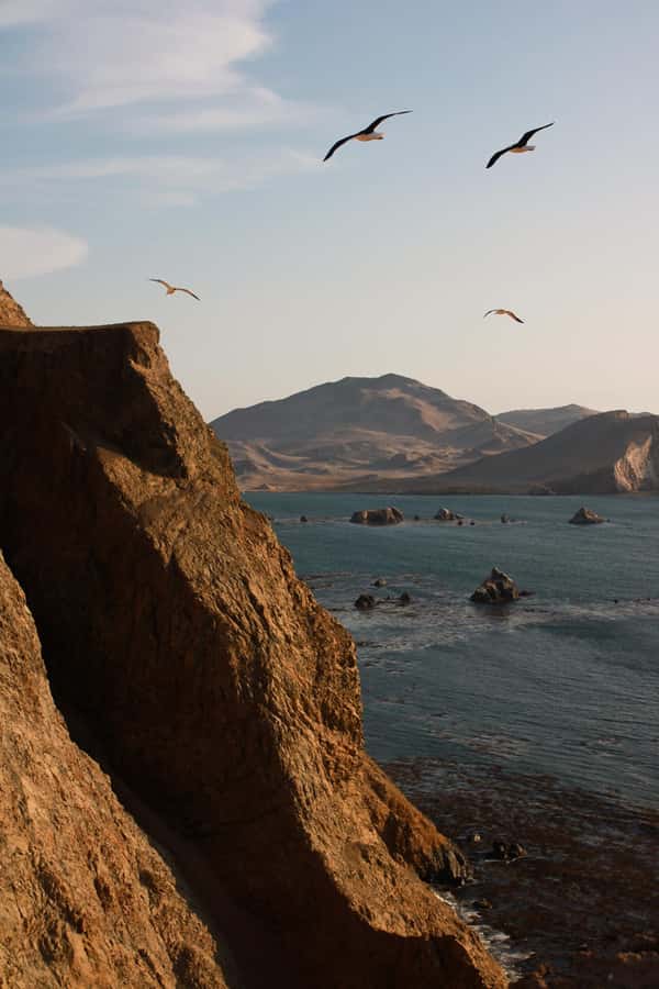 TREKKING GOLDEN SHADOWS - Salar de Otuma, Playón, and Playa Mendieta: the 100-minute walk