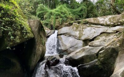 Trekking History and Indigenous Heritage in Minca + Cacao & Coffee + Waterfall - The meeting point and timing: start in Minca Central Park, finish where you began