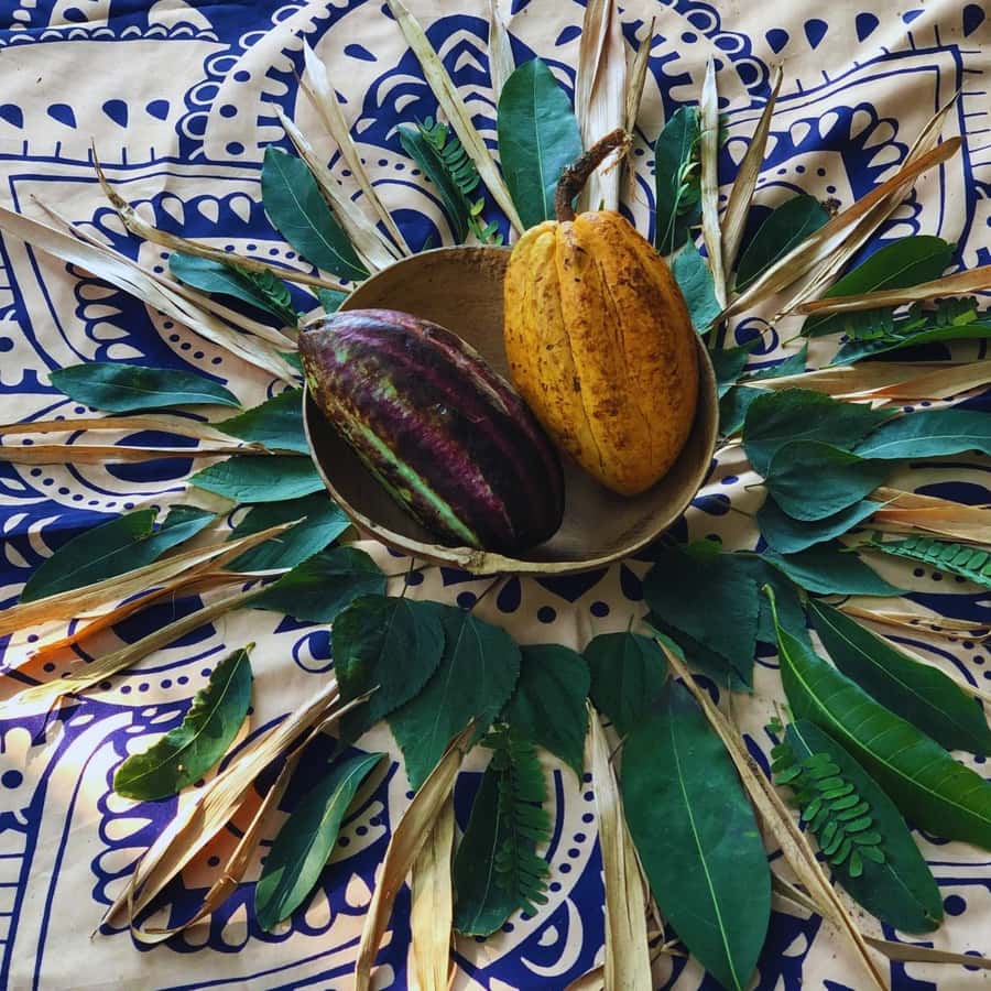 Trekking History and Indigenous Heritage in Minca + Cacao & Coffee + Waterfall - The hike itself: historic trails tied to Tayrona legacy and living knowledge