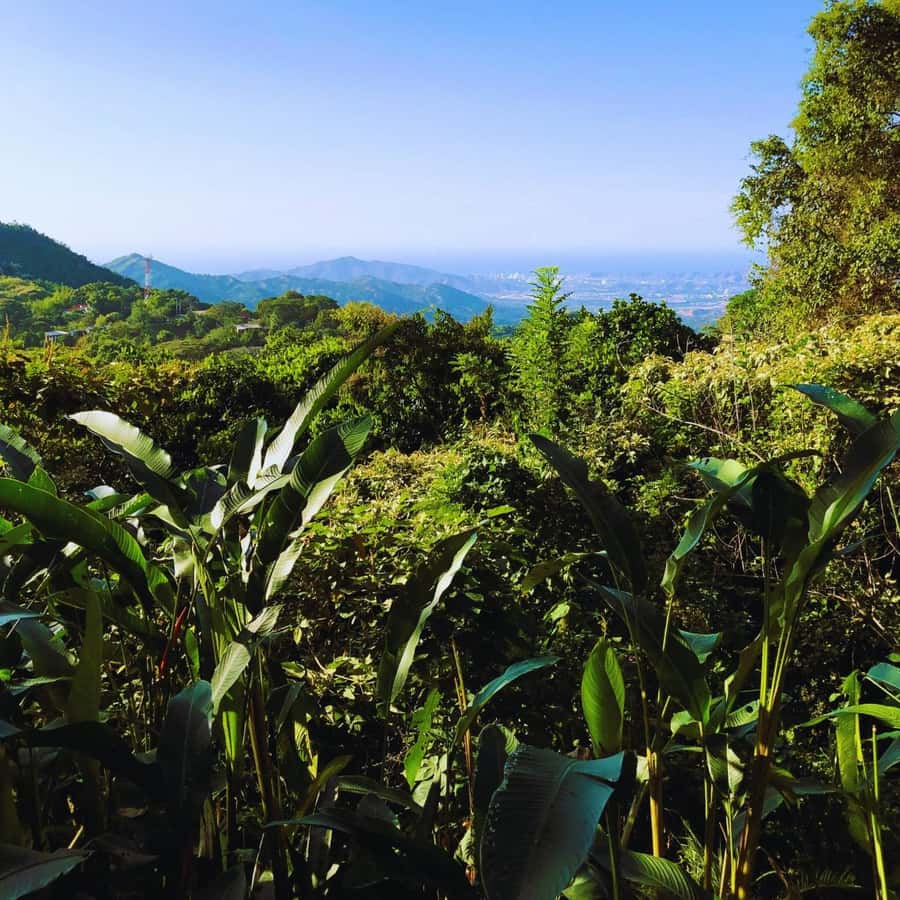 Trekking History and Indigenous Heritage in Minca + Cacao & Coffee + Waterfall - Relaxing at the waterfall: the cooling reset and the reason to pack a swimsuit