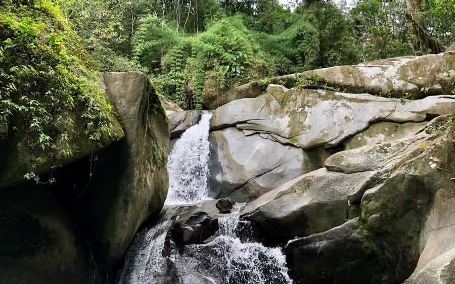 Trekking History and Indigenous Heritage in Minca + Cacao & Coffee + Waterfall - The meeting point and timing: start in Minca Central Park, finish where you began