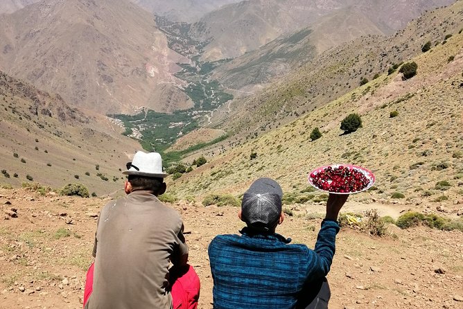 Trekking in Morocco / 3 Days Valley Trek in the Atlas Mountain & Waterfalls - Mules and handlers: why you’ll hike lighter and feel better