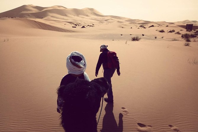 Trekking in Morocco / Atlas Mountains and Sahara Trek (5days) - Day 2: Mount Toubkal (4167m), then Ait Souka village lodging