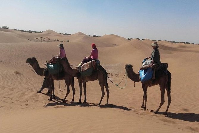 Trekking in Morocco / Atlas Mountains and Sahara Trek (5days) - Day 4: Todra Gorge to Merzouga, camels to Erg Chebbi, and sunset riding