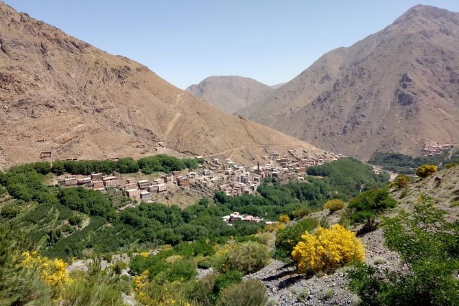 Trekking in Morocco / Atlas Mountains and Sahara Trek (5days) - Day 5: sunrise in the dunes, final camel ride, and back to Marrakech