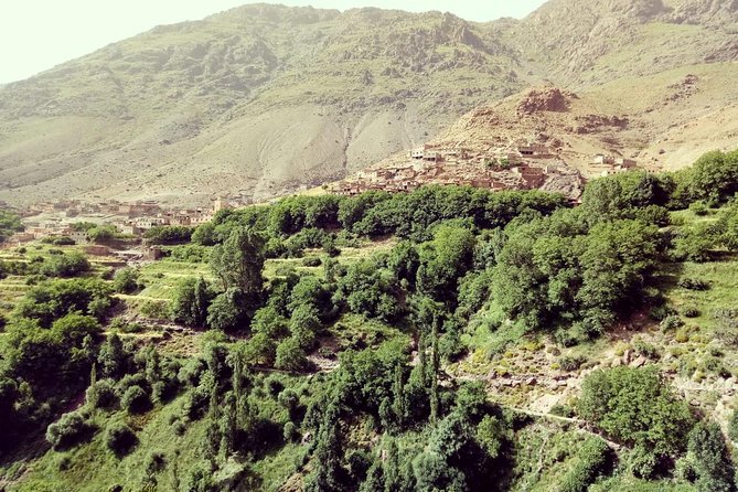Trekking in Morocco / Atlas Mountains and Sahara Trek (5days) - Guides and small-group pacing (max 15)