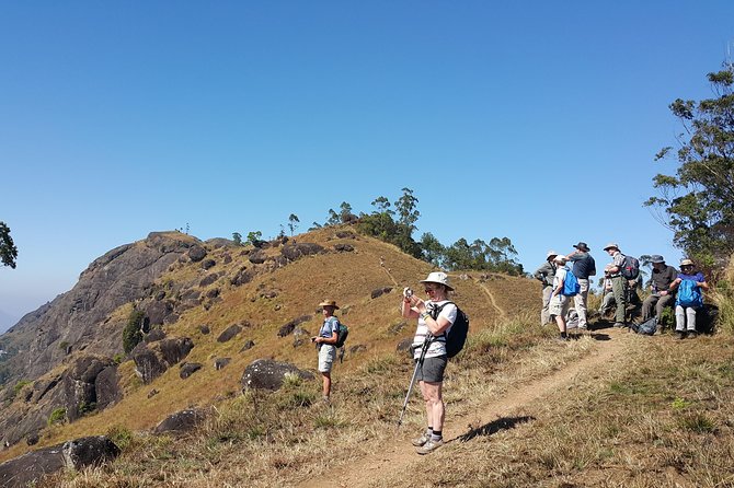 Trekking in Munnar - Key things you’ll notice on this Munnar trek