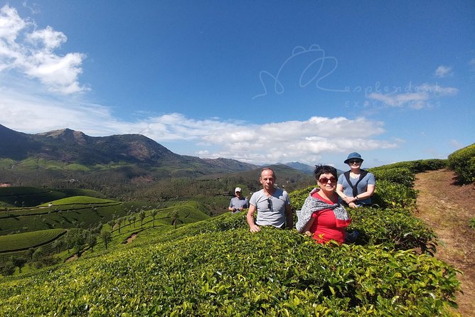 Trekking in Munnar - Where the trek starts: 9:00 am from Nullatanni
