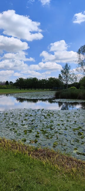 Trekking in the Wood with picnic on the turtles lake - Value for money: what $30.10 really buys you