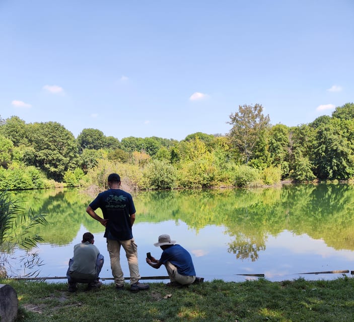 Trekking in the Wood with picnic on the turtles lake - Where you start (and how to keep it easy)