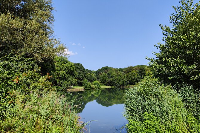 Trekking in the Wood with picnic on the turtles lake - Should you book the Boscoincitta turtles lake walk?