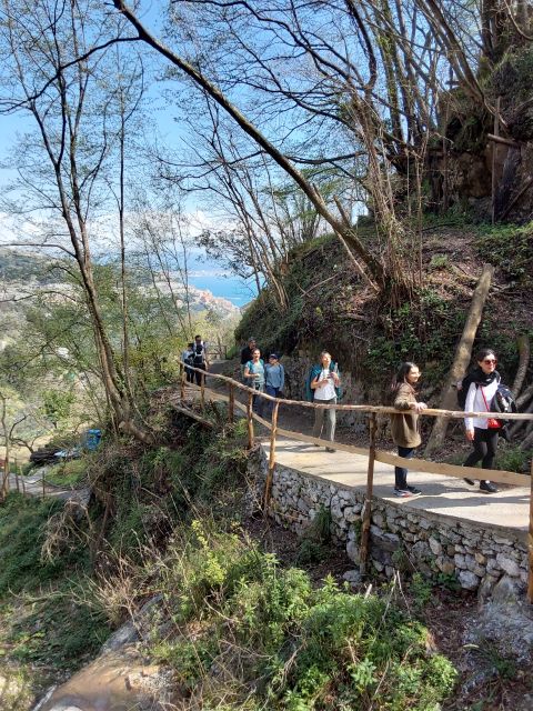 Trekking Lemon Tour - Key highlights worth showing up for