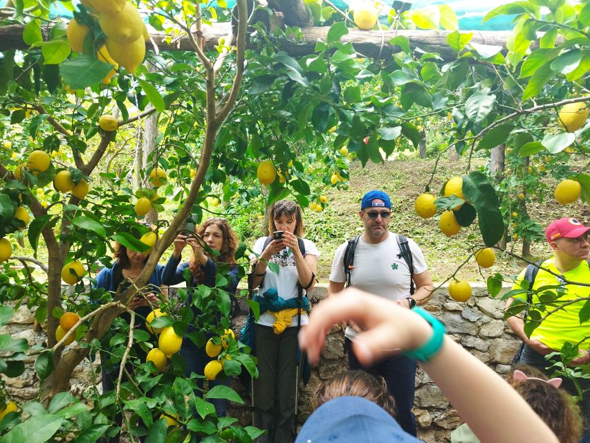 Trekking Lemon Tour - The hike from Vietri to Raito: Santa Maria delle Grazie to scenic viewpoints