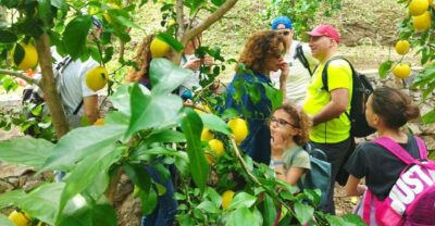 Trekking Lemon Tour - Meeting at Vietri sul Mare and getting oriented fast