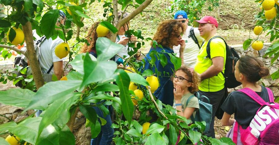 Trekking Lemon Tour - Meeting at Vietri sul Mare and getting oriented fast